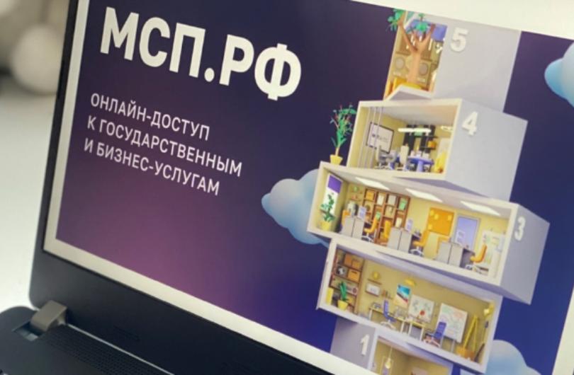 Почти 3,5 млрд рублей микрозаймов получили МСП через Цифровую платформу МСП.РФ с начала 2024 года